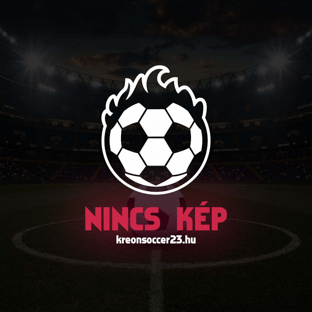 Hamburger VS férfi szurkolói mez 202425 ×Speciális kiadás×